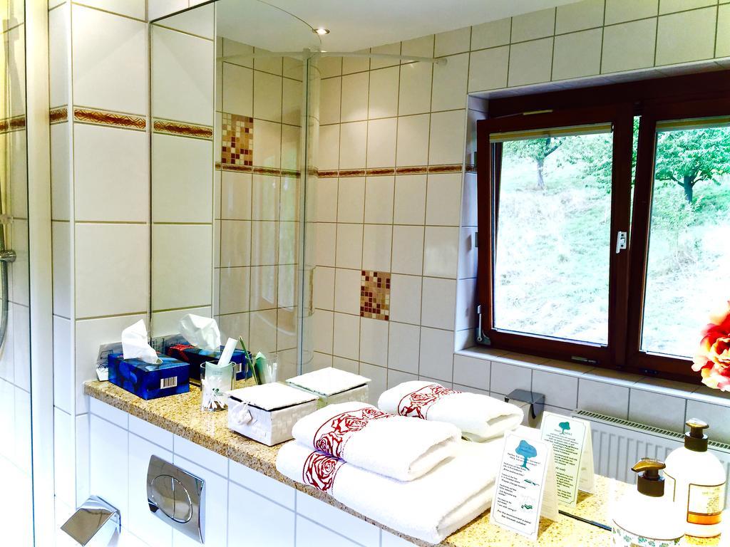 Dornroeschen Hotel Hoechst im Odenwald Room photo