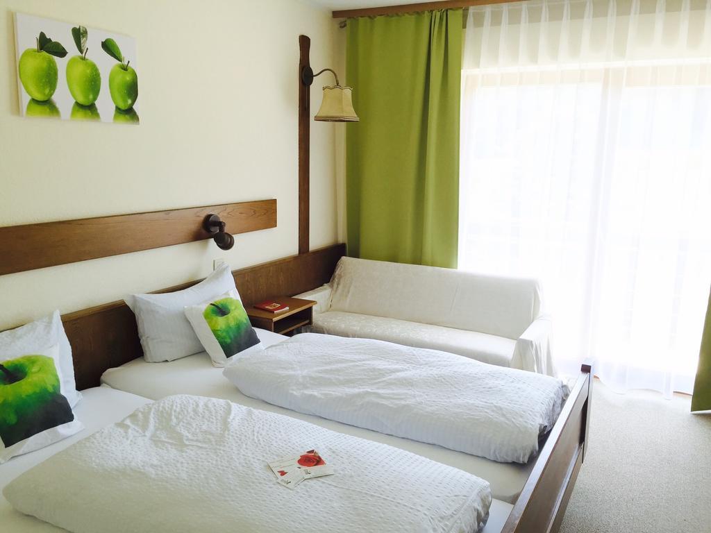 Dornroeschen Hotel Hoechst im Odenwald Room photo